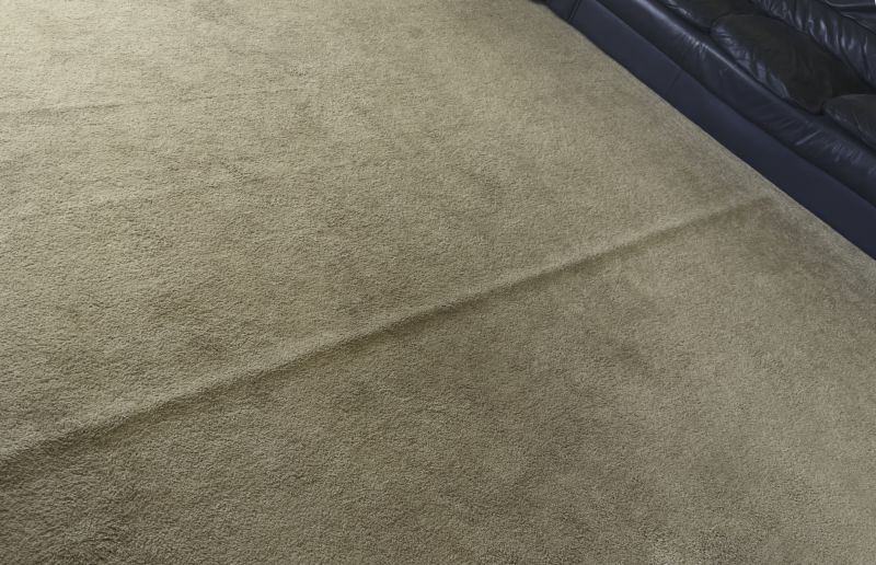 Carpet Burn Repair in Alpharetta, GA
