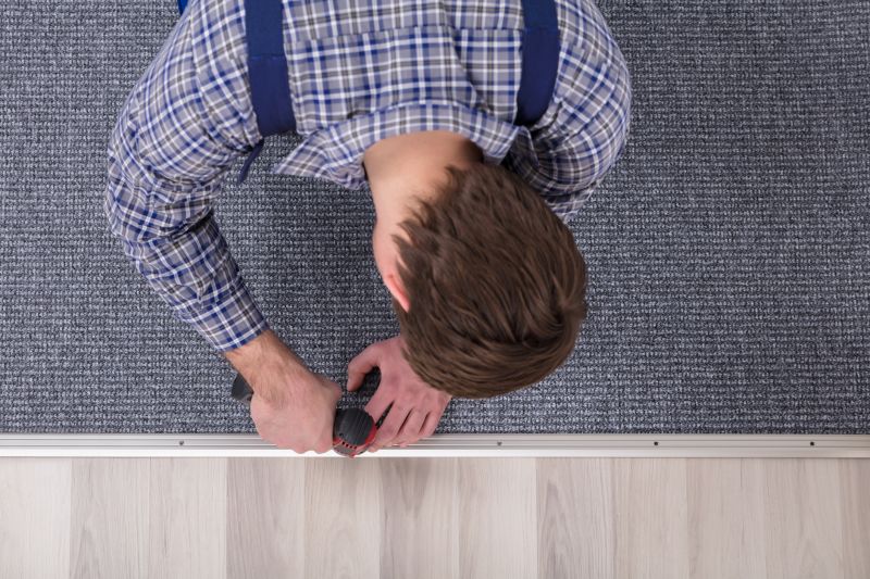 Pet Stain Carpet Repair in Littleton, CO